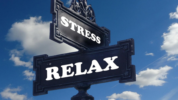 Anxiety and Chronic Stress
