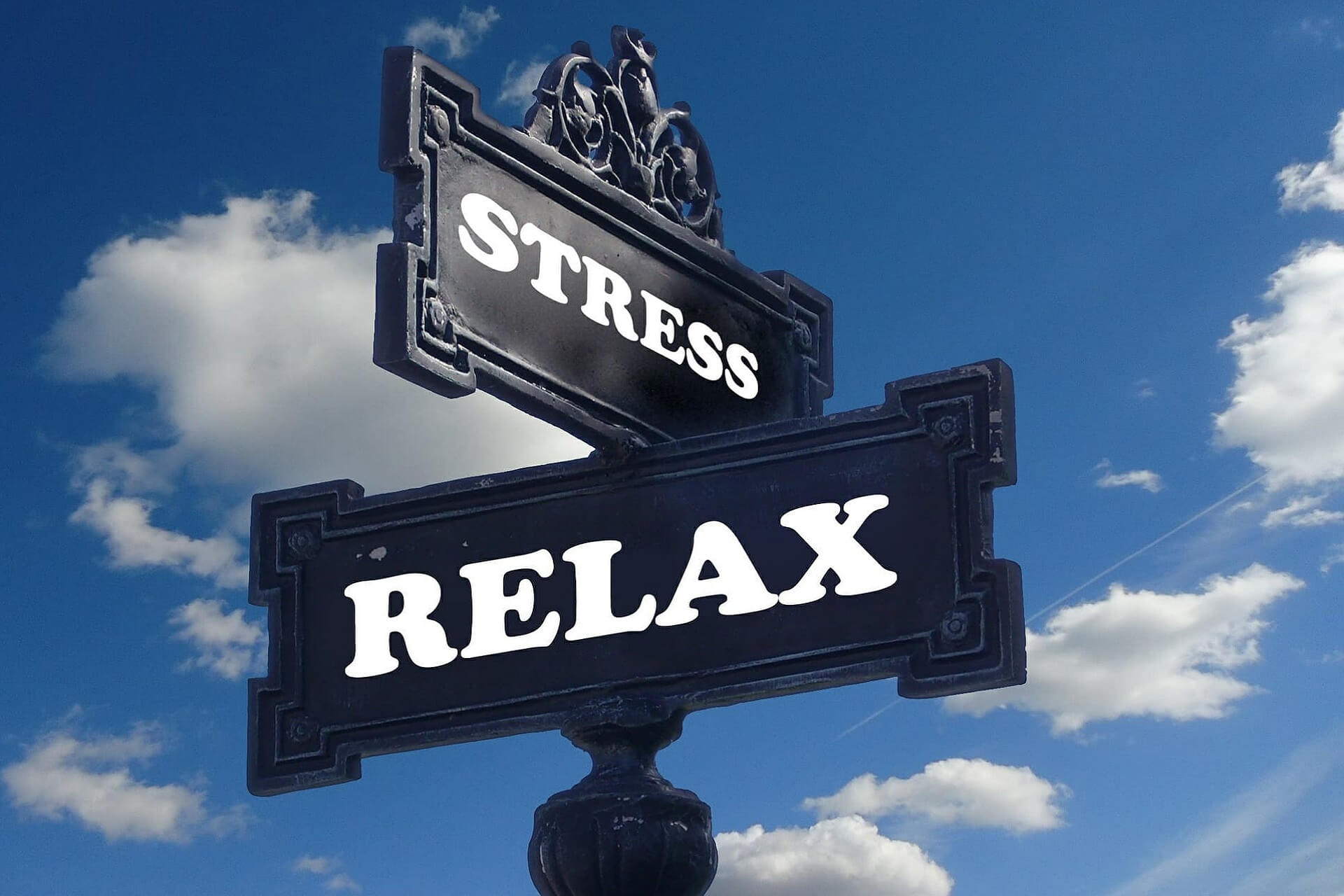 Anxiety and Chronic Stress